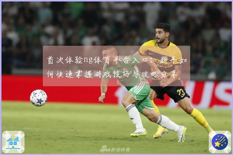 首次体验ng体育平台入口：新手如何快速掌握游戏技巧与攻略分享